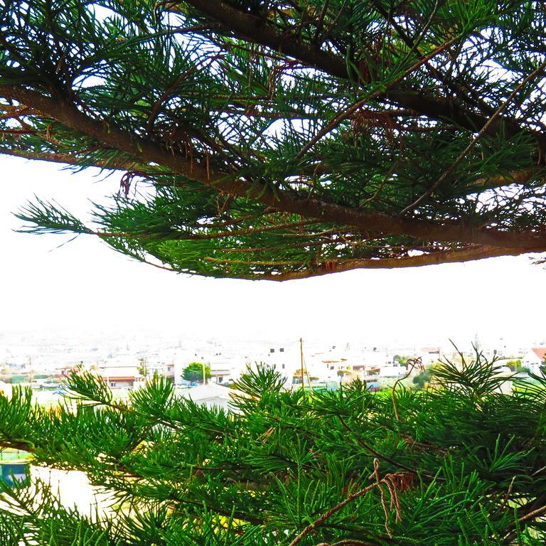 Frosso'S Apartments Kokkini Hani Dış mekan fotoğraf